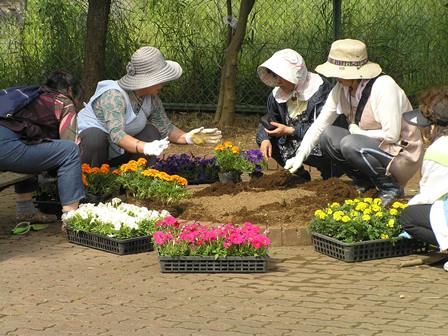 花の植栽