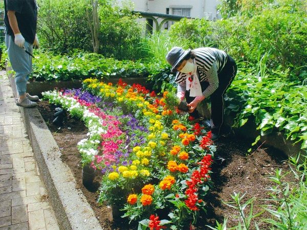 花植運動