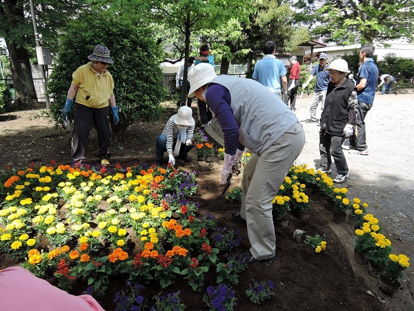 春の花植え