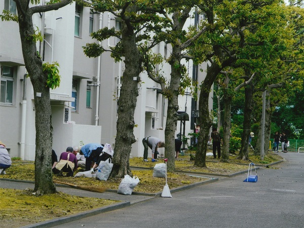 団地内一斉清掃