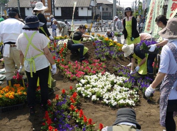 花植